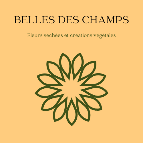 Belles des Champs